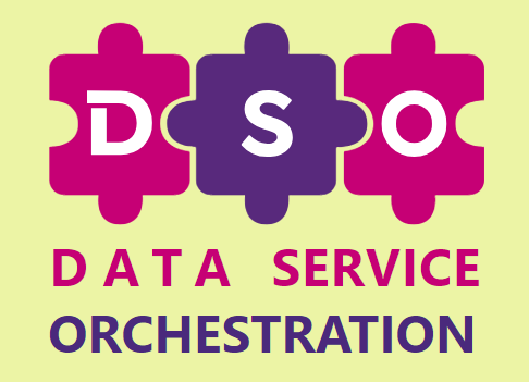 DSO logo